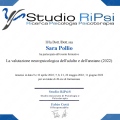 Ingrandire l'immagine: certificate 9