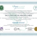 Ingrandire l'immagine: certificate 3