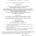 Ingrandire l'immagine: certificate 8