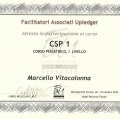 Ingrandire l'immagine: certificate 12