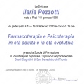 Ingrandire l'immagine: certificate 13