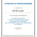 Ingrandire l'immagine: certificate 13