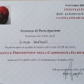 Ingrandire l'immagine: certificate 7