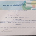 Ingrandire l'immagine: certificate 57