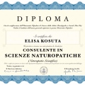 Ingrandire l'immagine: certificate 2