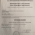 Ingrandire l'immagine: certificate 2