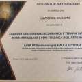 Ingrandire l'immagine: certificate 9