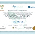 Ingrandire l'immagine: certificate 3