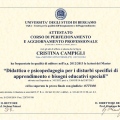 Ingrandire l'immagine: certificate 1