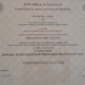 Ingrandire l'immagine: certificate 4