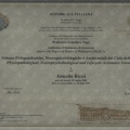 Ingrandire l'immagine: certificate 2