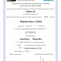 Ingrandire l'immagine: certificate 11