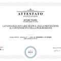 Ingrandire l'immagine: certificate 9
