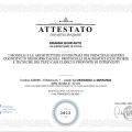 Ingrandire l'immagine: certificate 8