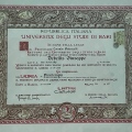 Ingrandire l'immagine: certificate 8