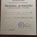 Ingrandire l'immagine: certificate 1