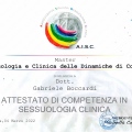 Ingrandire l'immagine: certificate 2