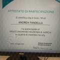 Ingrandire l'immagine: certificate 1