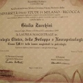 Ingrandire l'immagine: certificate 2