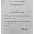 Ingrandire l'immagine: certificate 16