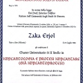 Ingrandire l'immagine: certificate 1