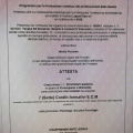 Ingrandire l'immagine: certificate 9
