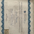 Ingrandire l'immagine: certificate 1