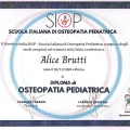 Ingrandire l'immagine: certificate 11