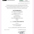 Ingrandire l'immagine: certificate 4