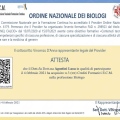 Ingrandire l'immagine: certificate 3