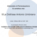 Ingrandire l'immagine: certificate 19