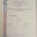 Ingrandire l'immagine: certificate 2