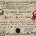 Ingrandire l'immagine: certificate 43