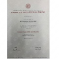 Ingrandire l'immagine: certificate 5