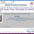Ingrandire l'immagine: certificate 2