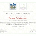 Ingrandire l'immagine: certificate 5