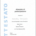 Ingrandire l'immagine: certificate 4