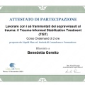 Ingrandire l'immagine: certificate 7