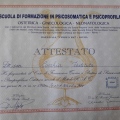 Ingrandire l'immagine: certificate 9