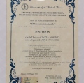 Ingrandire l'immagine: certificate 1