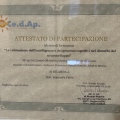 Ingrandire l'immagine: certificate 4