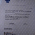 Ingrandire l'immagine: certificate 1