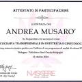 Ingrandire l'immagine: certificate 10