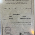 Ingrandire l'immagine: certificate 7