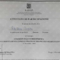 Ingrandire l'immagine: certificate 9