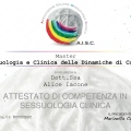 Ingrandire l'immagine: certificate 1