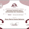 Ingrandire l'immagine: certificate 3