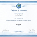 Ingrandire l'immagine: certificate 5