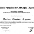 Ingrandire l'immagine: certificate 4