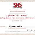 Ingrandire l'immagine: certificate 5